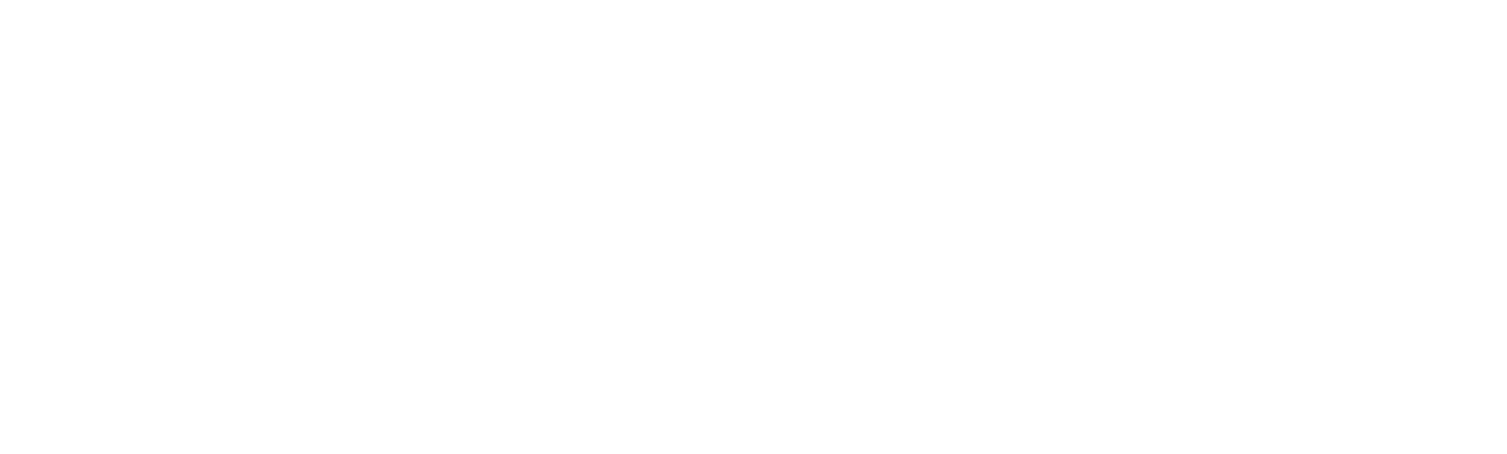 NETAFIM Logo - No Tagline - Blue.png