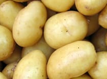Kartoffeln