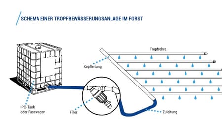 So klappt der klimafeste Umbau der Wälder