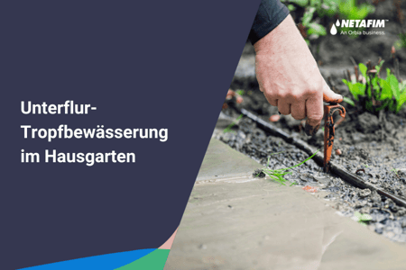 Unterflur-Tropfbewässerung im Hausgarten 