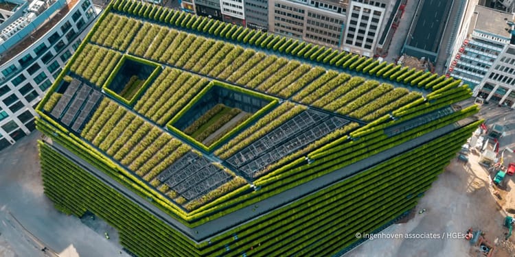 Garten- und Landschaftsbau: mit Tropfbewässerung Wasser und Energie sparen