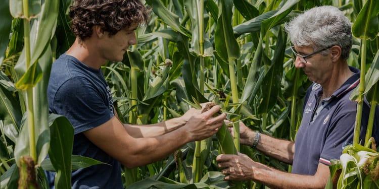 Innovationen: Von Landwirten für Landwirte