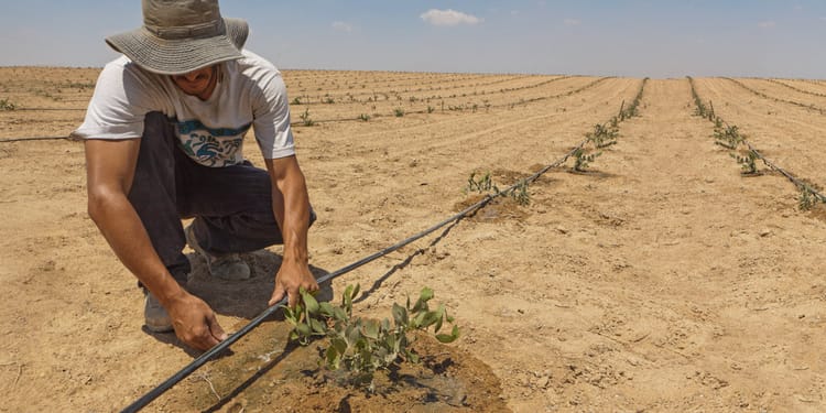 Tropfbewässerung: Mehr Power für Landwirte