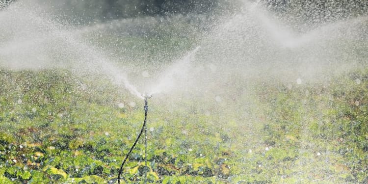 SPRINKLER, MICROSPRINKLER UND SPEZIELLE VERTEILSYSTEME