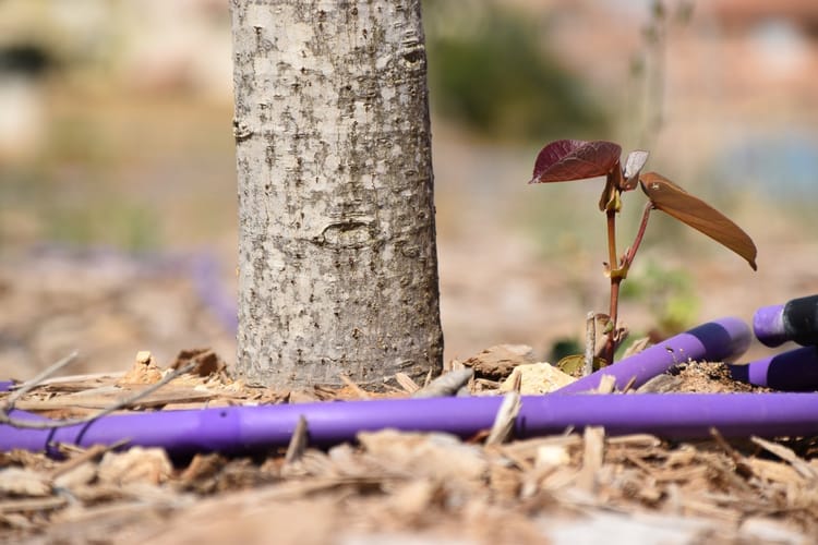 bayonet-Reclaimed water 3