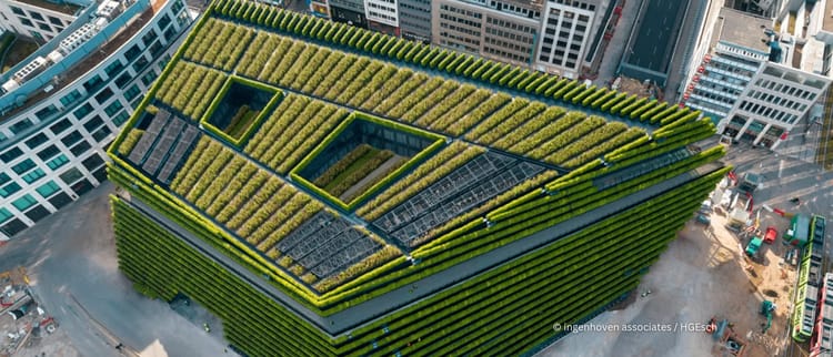 Garten- und Landschaftsbau: mit Tropfbewässerung Wasser und Energie sparen