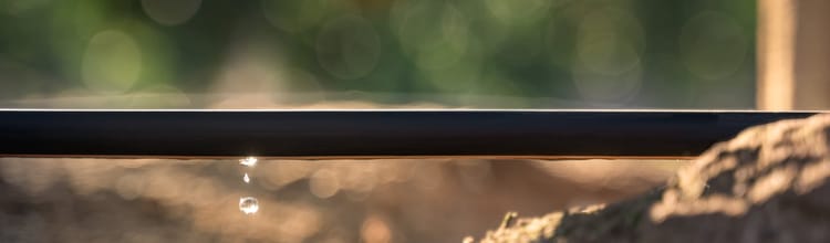 Tropfbewässerung spart Wasser