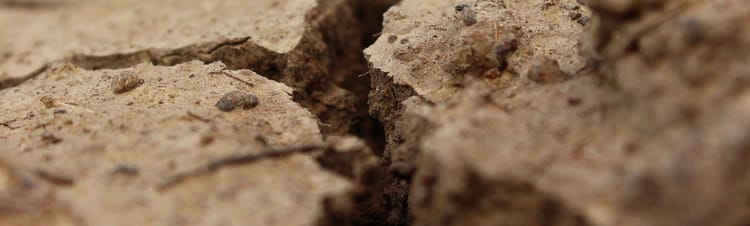 Banner Wetter 2021: Kommt die Mega-Dürre?