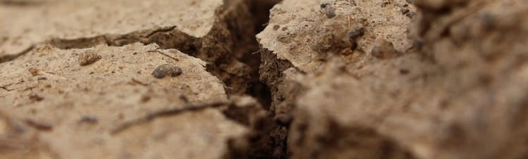 Banner Wetter 2021: Kommt die Mega-Dürre?