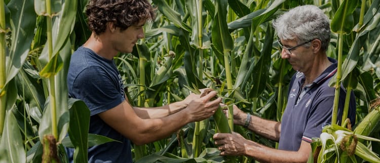 Innovationen: Von Landwirten für Landwirte