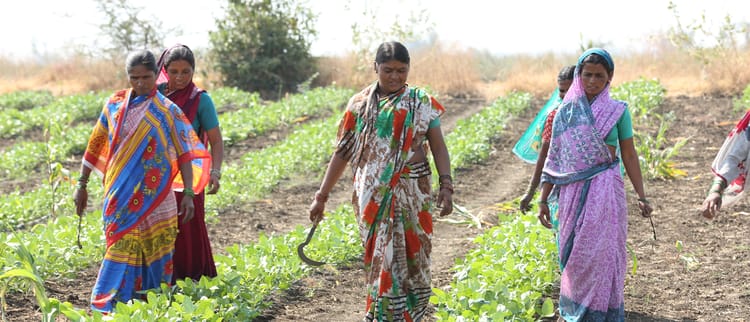 Banner NETAFIM announces third mega deal valued at $85 Million