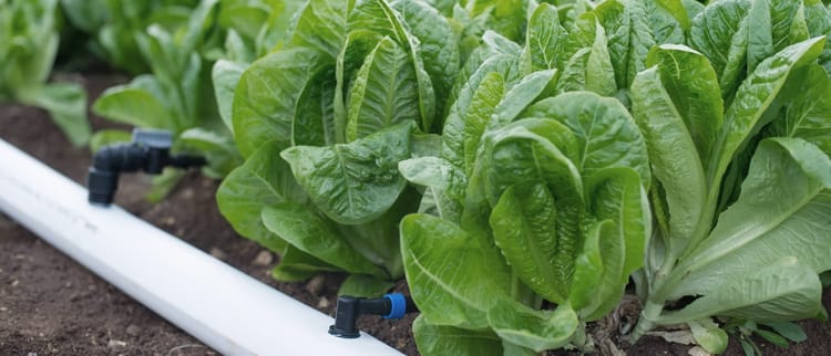 FLACHSCHLÄUCHE FLEXNET