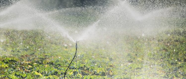 SPRINKLER, MICROSPRINKLER UND SPEZIELLE VERTEILSYSTEME
