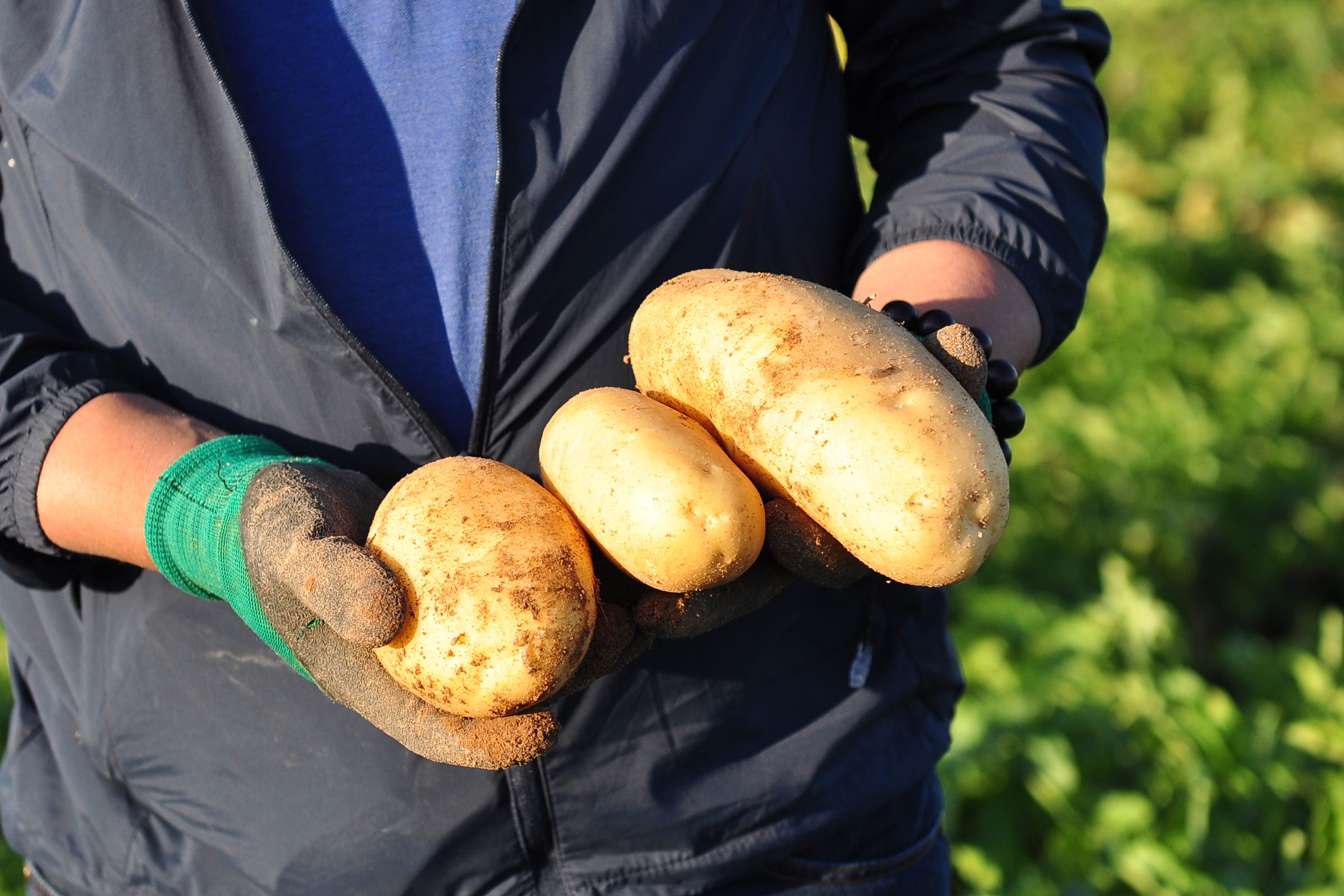 Nährstoffe effizient einsetzen