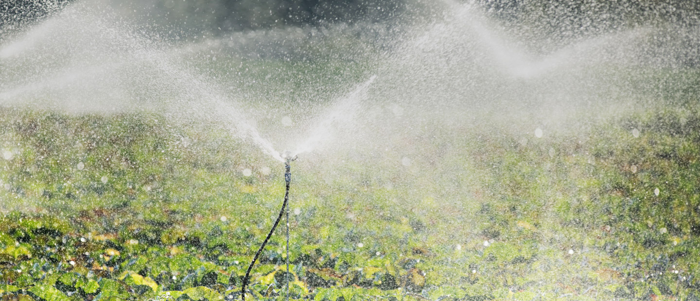 sprinkler und mikrosprinkler